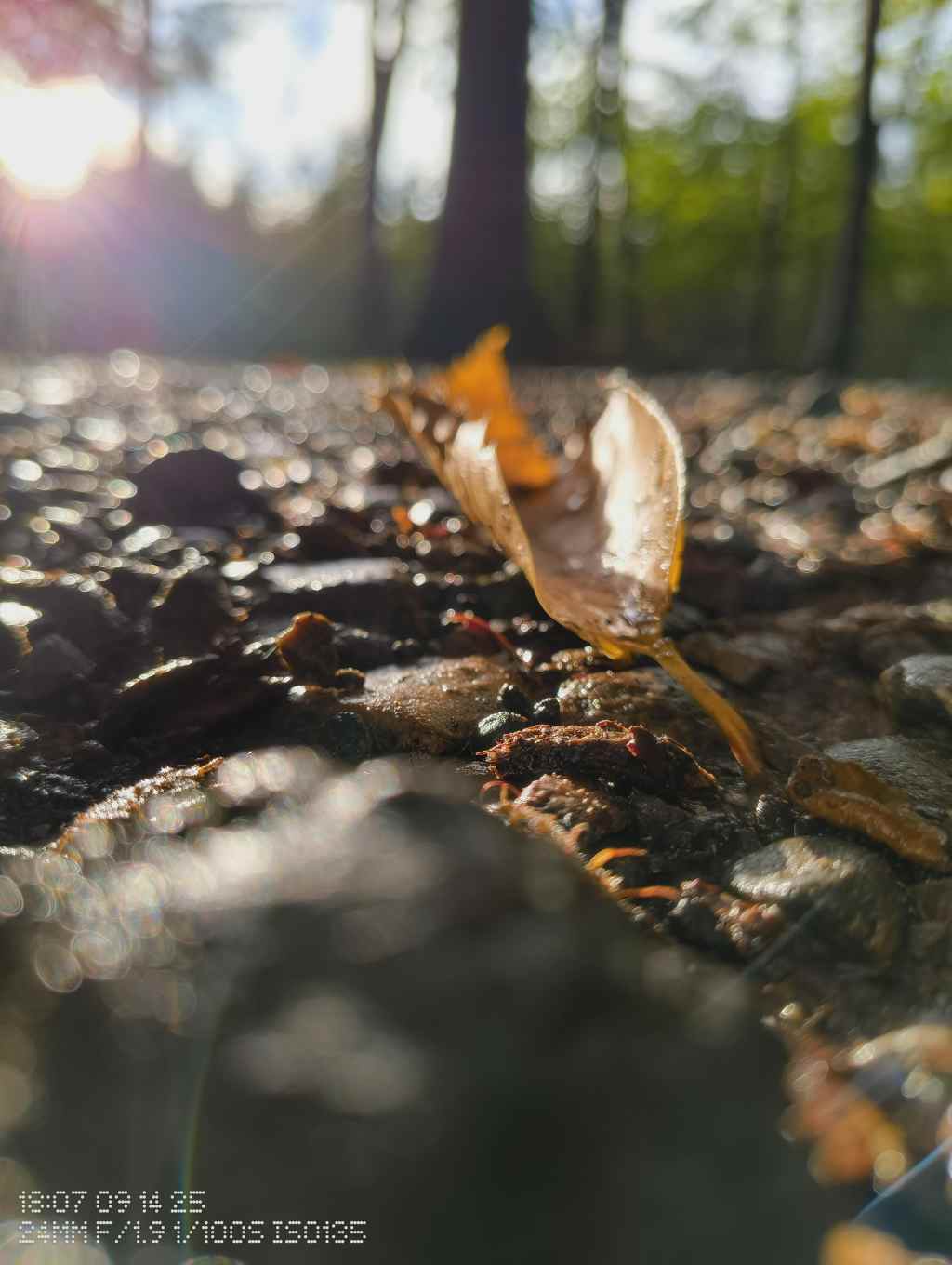 delamere close and personal